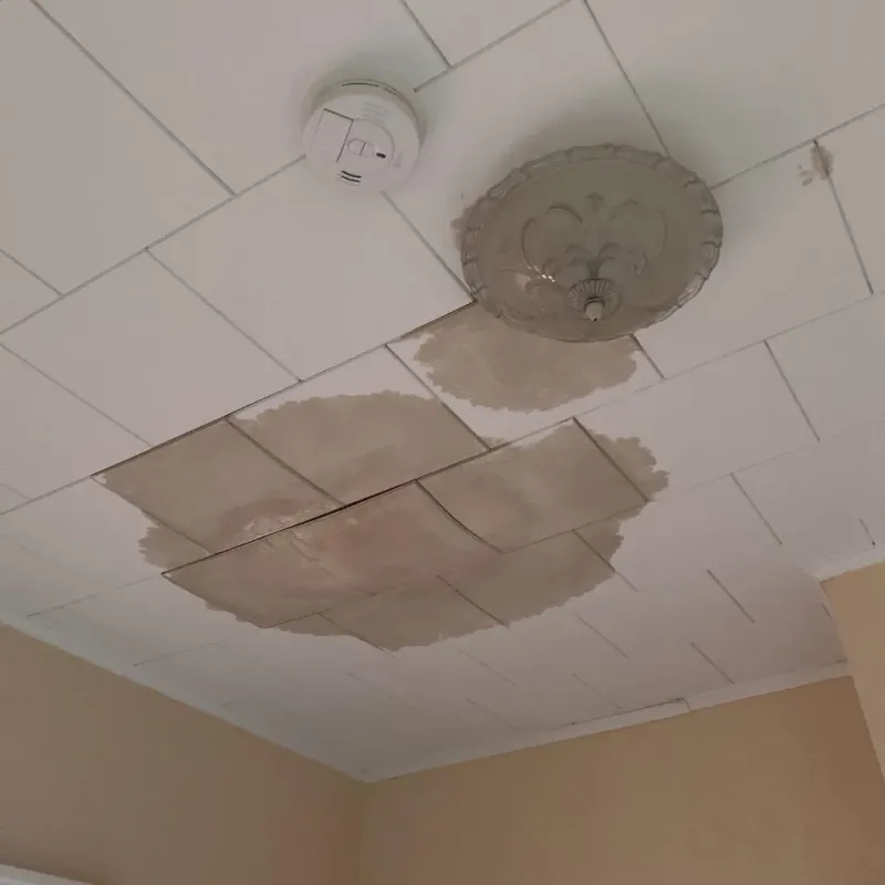 Ceiling Water Damage Repair in Midland, WA