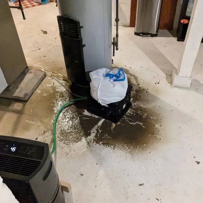 Sewage Backup Cleanup Service in Midland, WA
